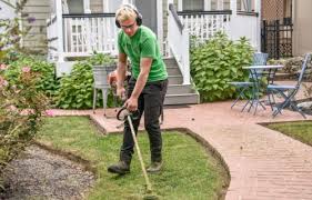 Were String Lawn Trimmers Invented by the Devil?